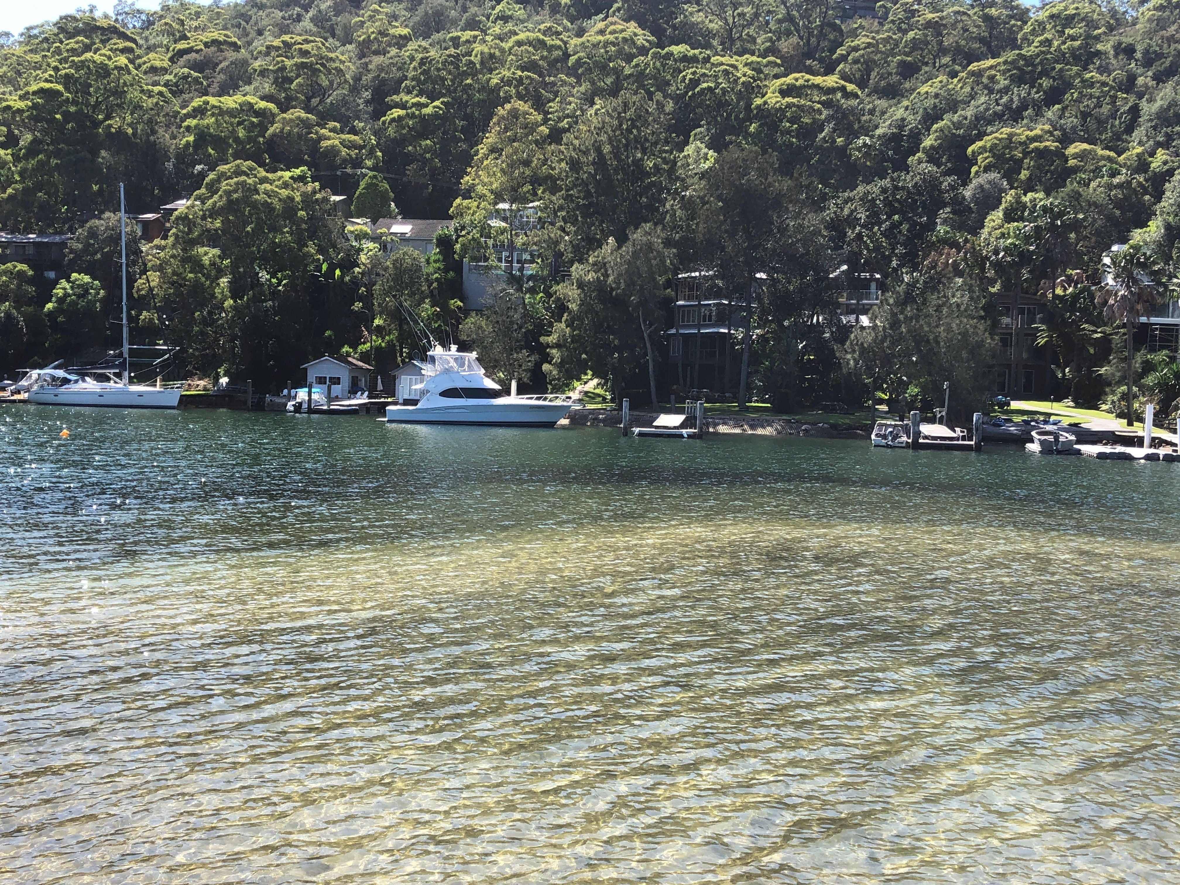 Northern Beaches Public Day Tour febuary 2019 Image -5c64961cea4dd